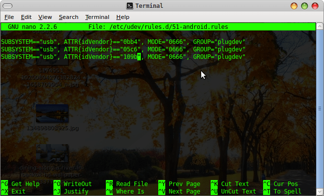 Screenshot-Terminal-1