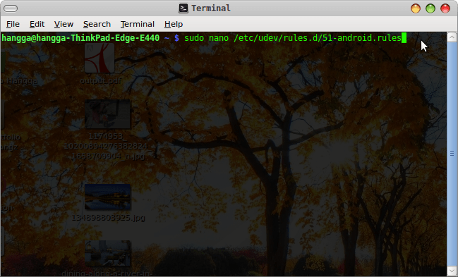 Screenshot-Terminal