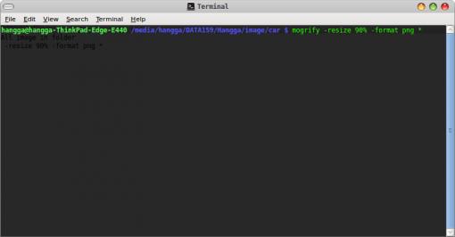 Screenshot-Terminal-1