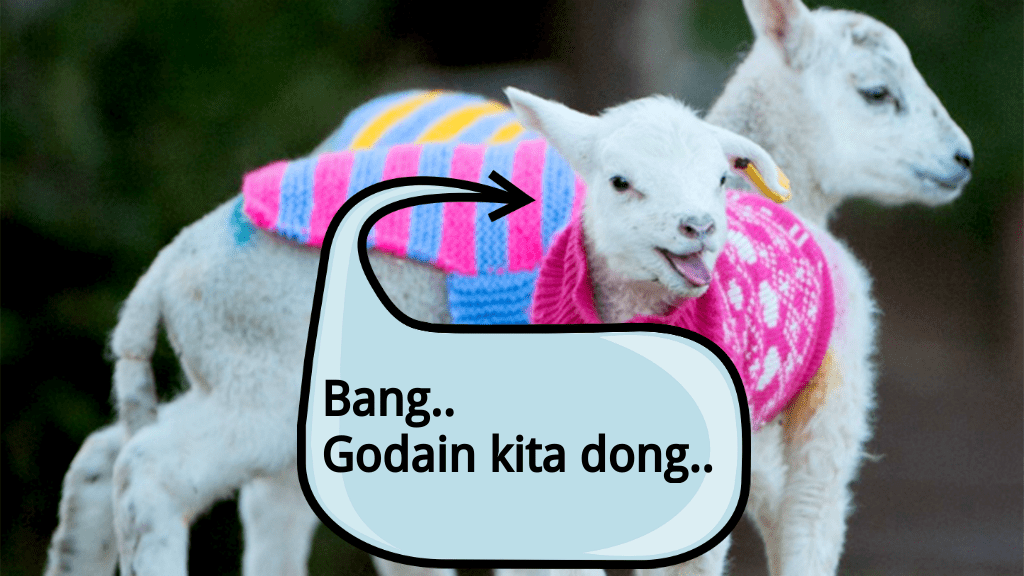 godain-kambing